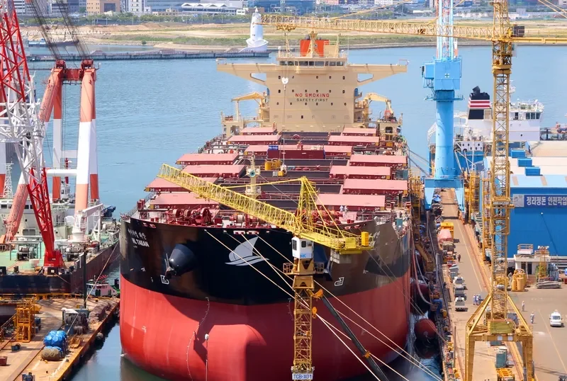 HL TAEAN Bulk Carrier IMO 9703112 photo 2