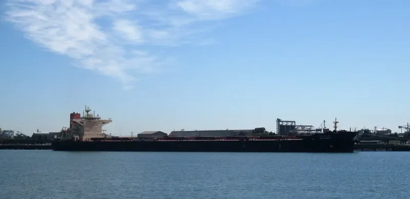 HL TAEAN Bulk Carrier IMO 9703112 photo 5