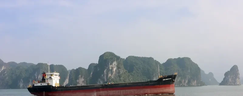 NGOC MINH 45 BLC General Cargo IMO 9703136