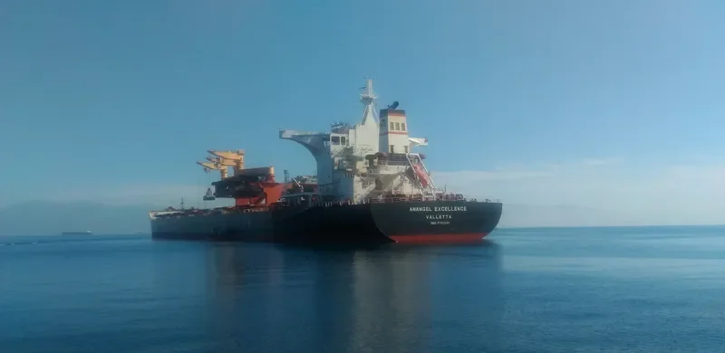 MARAN EXCELLENCE Bulk Carrier IMO 9703241