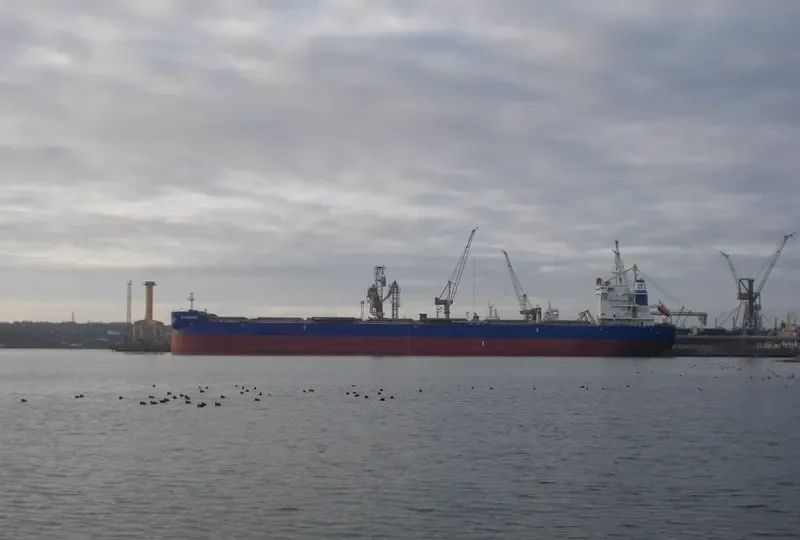 CL YANGZHOU Bulk Carrier IMO 9703265