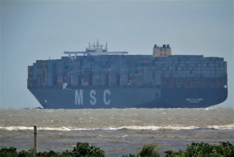 MSC OLIVER Container Ship IMO 9703306 photo 3