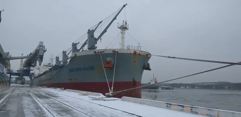 WESTERN PARIS Bulk Carrier IMO 9703423