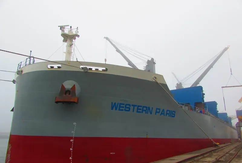WESTERN PARIS Bulk Carrier IMO 9703423 photo 2