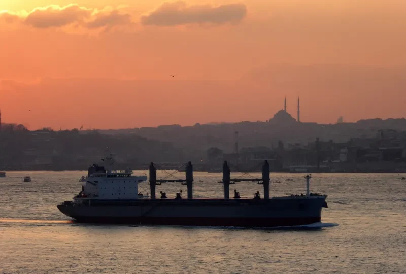 WESTERN PARIS Bulk Carrier IMO 9703423 photo 4