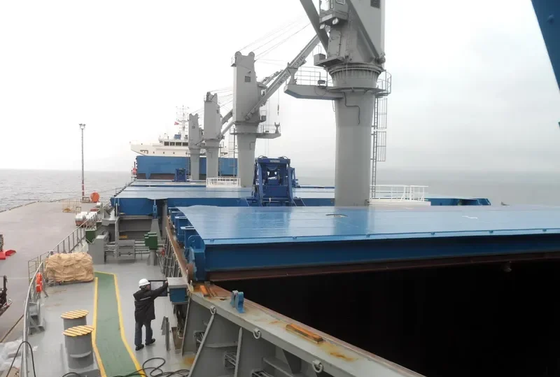 WESTERN PARIS Bulk Carrier IMO 9703423 photo 5