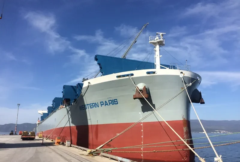 WESTERN PARIS Bulk Carrier IMO 9703423 photo 6