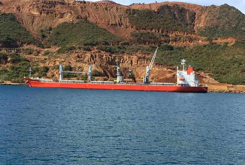 KIRISHIMA SKY Bulk Carrier IMO 9703459