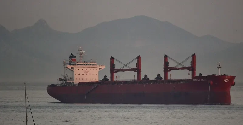 GENTLE SEAS Bulk Carrier IMO 9703514 photo 3