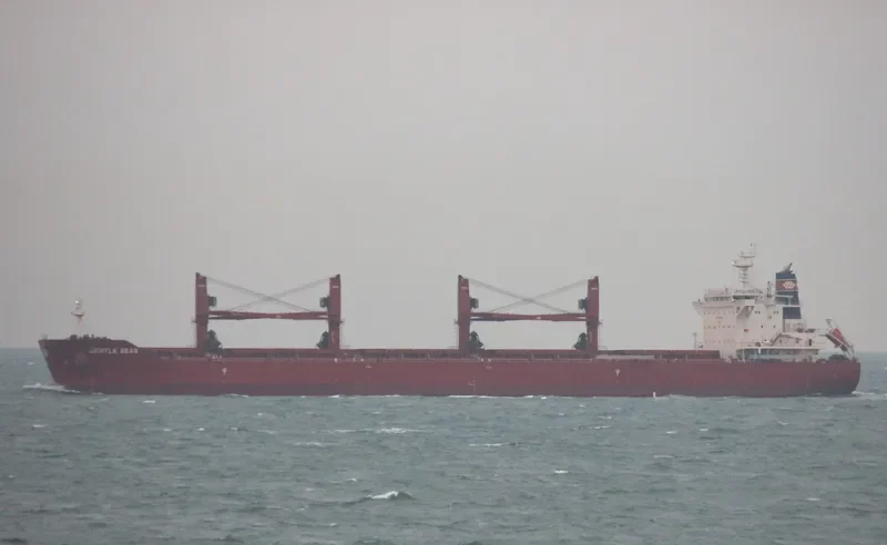 GENTLE SEAS Bulk Carrier IMO 9703514 photo 4