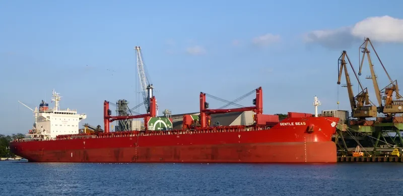 GENTLE SEAS Bulk Carrier IMO 9703514 photo 11