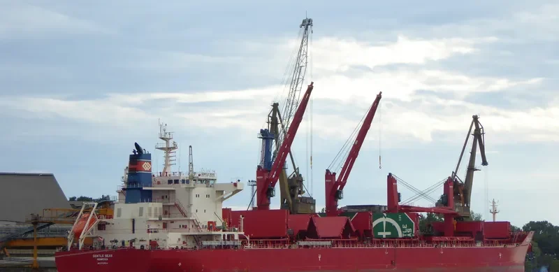 GENTLE SEAS Bulk Carrier IMO 9703514 photo 33