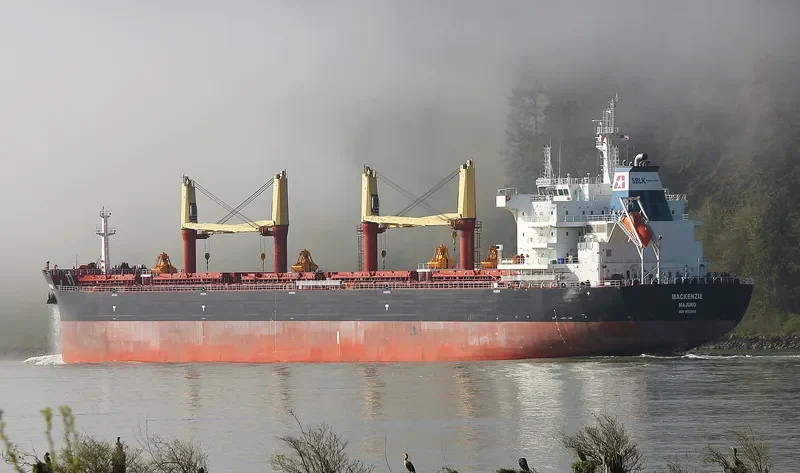 MACKENZIE Bulk Carrier IMO 9703588 photo 2