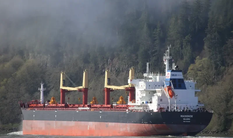 MACKENZIE Bulk Carrier IMO 9703588 photo 6