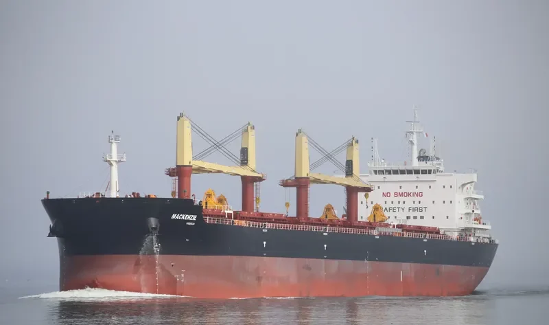 MACKENZIE Bulk Carrier IMO 9703588 photo 7