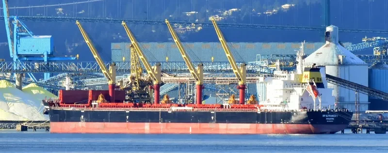 MP ULTRAMAX 1 Bulk Carrier IMO 9703590 photo 2