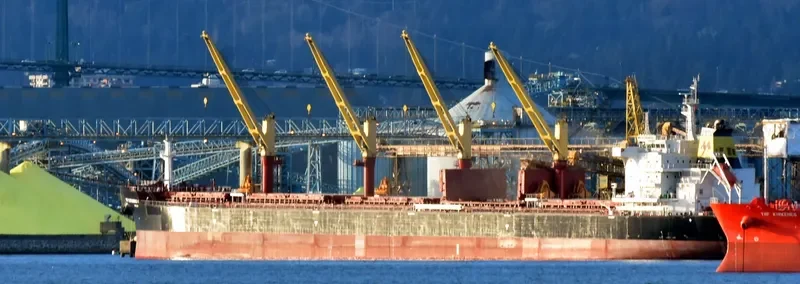 MP ULTRAMAX 1 Bulk Carrier IMO 9703590 photo 3