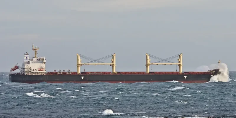 NM SAKURA Bulk Carrier IMO 9703643