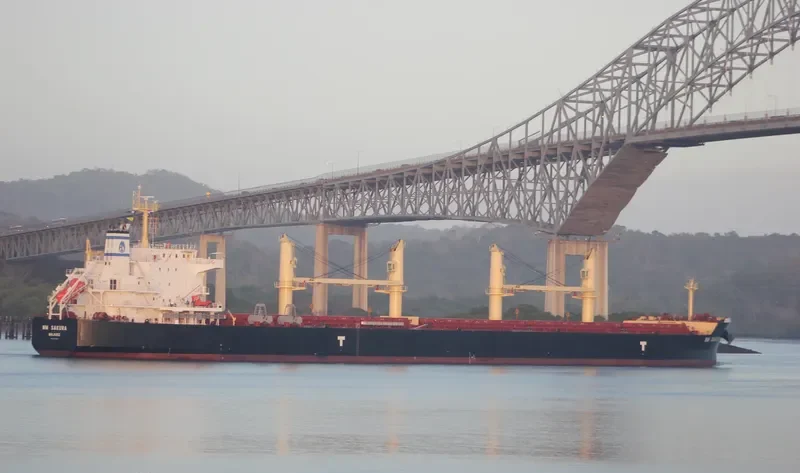 NM SAKURA Bulk Carrier IMO 9703643 photo 4