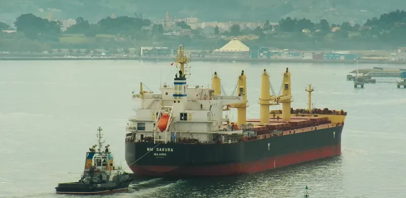 NM SAKURA Bulk Carrier IMO 9703643 photo 5