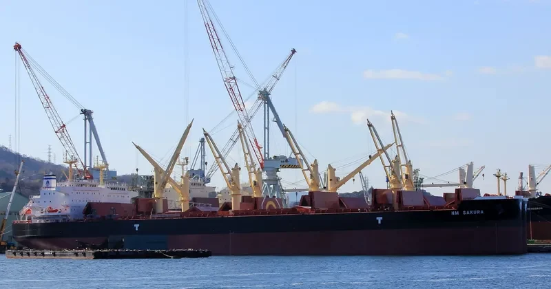 NM SAKURA Bulk Carrier IMO 9703643 photo 8