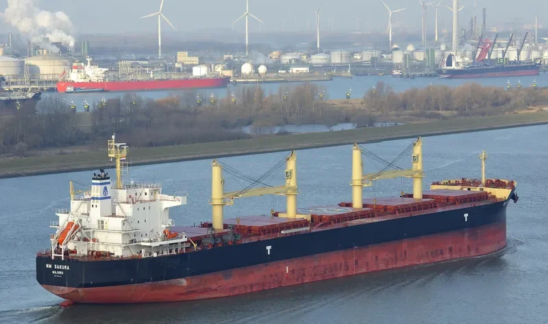 NM SAKURA Bulk Carrier IMO 9703643 photo 10