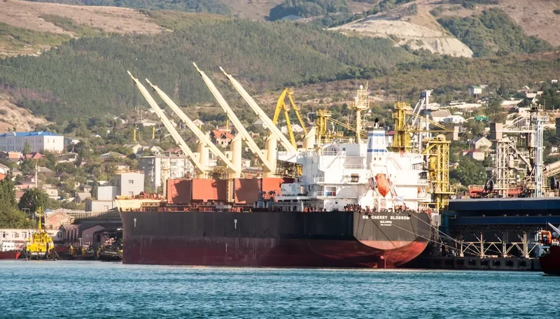 NM CHERRY BLOSSOM Bulk Carrier IMO 9703655
