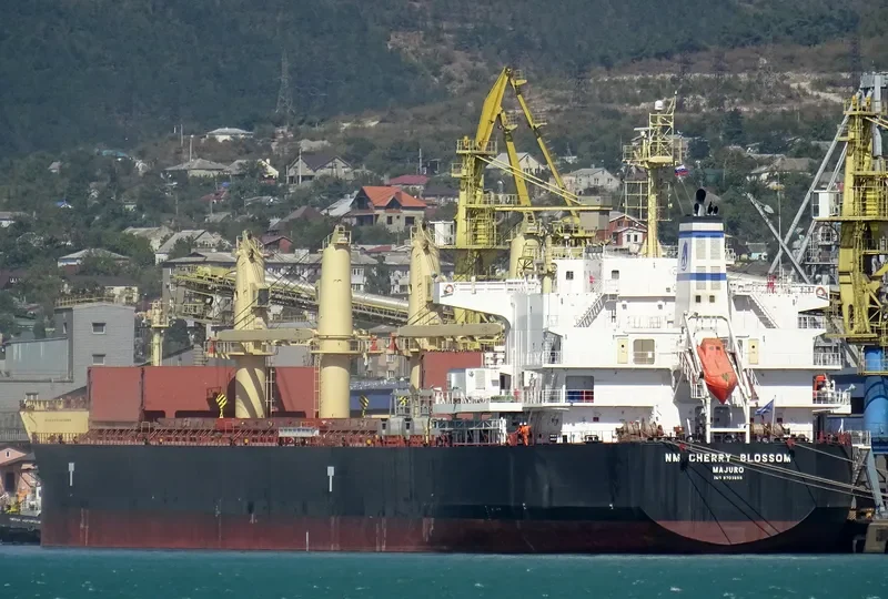 NM CHERRY BLOSSOM Bulk Carrier IMO 9703655 photo 2