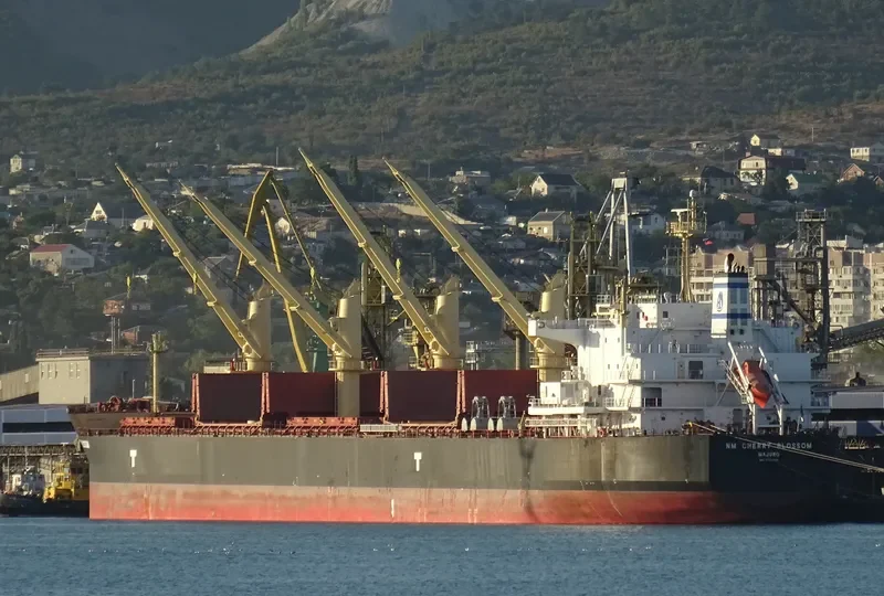 NM CHERRY BLOSSOM Bulk Carrier IMO 9703655 photo 3