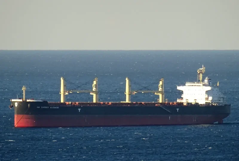 NM CHERRY BLOSSOM Bulk Carrier IMO 9703655 photo 4