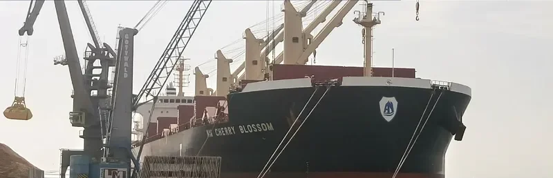 NM CHERRY BLOSSOM Bulk Carrier IMO 9703655 photo 5