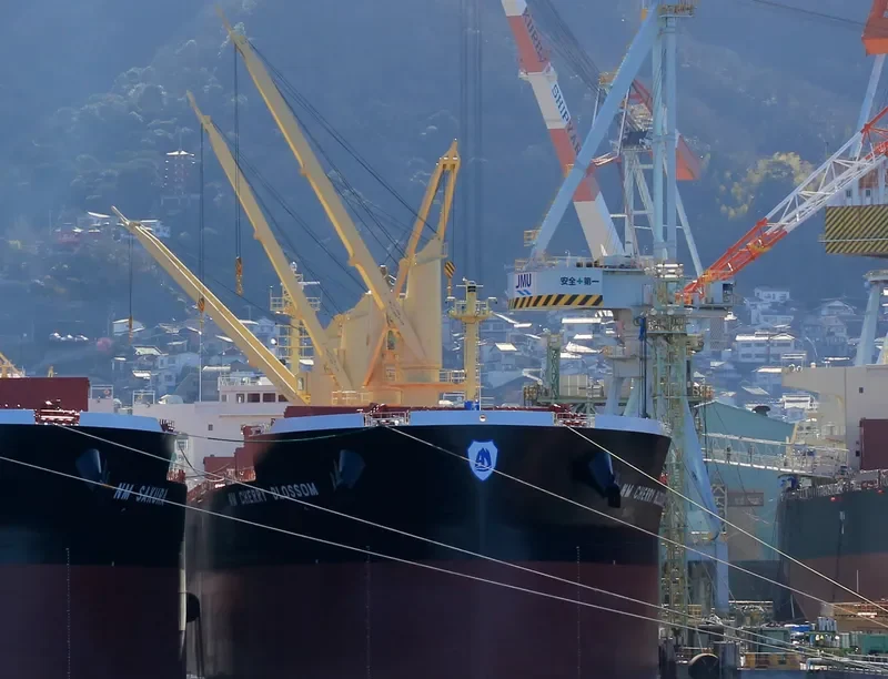 NM CHERRY BLOSSOM Bulk Carrier IMO 9703655 photo 6