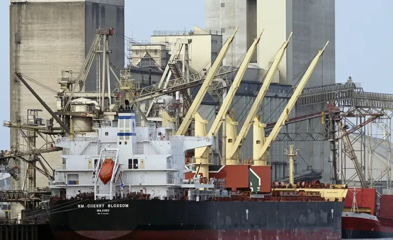 NM CHERRY BLOSSOM Bulk Carrier IMO 9703655 photo 7