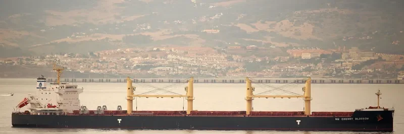 NM CHERRY BLOSSOM Bulk Carrier IMO 9703655 photo 8