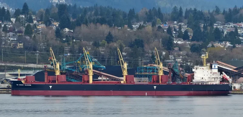 NM CHERRY BLOSSOM Bulk Carrier IMO 9703655 photo 9