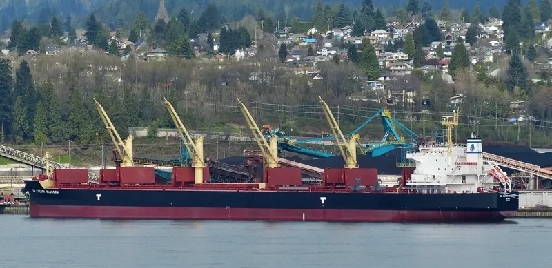 NM CHERRY BLOSSOM Bulk Carrier IMO 9703655 photo 10