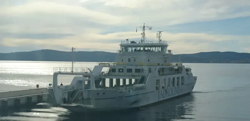 BRAC Ro-Ro IMO 9703710 photo 8