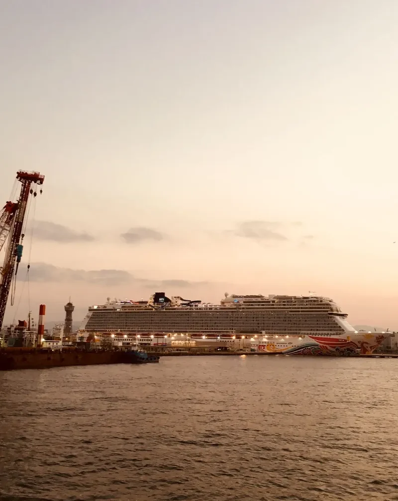 NORWEGIAN JOY Passenger Ship IMO 9703796 photo 5