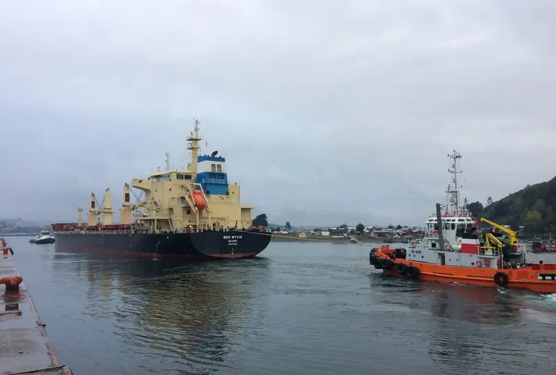 BEN WYVIS Bulk Carrier IMO 9703813 photo 5