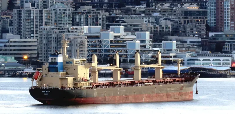 BEN WYVIS Bulk Carrier IMO 9703813 photo 6