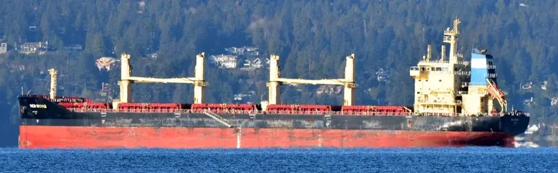 BEN WYVIS Bulk Carrier IMO 9703813 photo 8