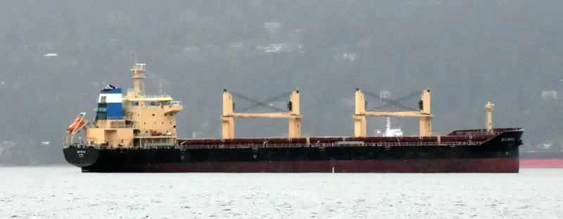 BEN WYVIS Bulk Carrier IMO 9703813 photo 9