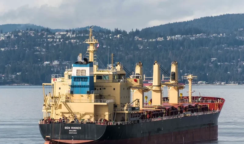 BEN RINNES Bulk Carrier IMO 9703825