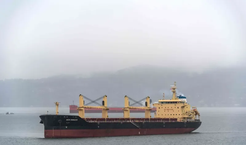 BEN RINNES Bulk Carrier IMO 9703825 photo 2