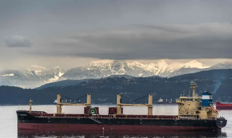 BEN RINNES Bulk Carrier IMO 9703825 photo 3