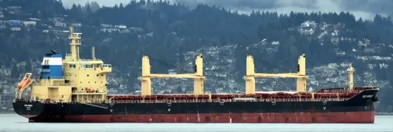 BEN RINNES Bulk Carrier IMO 9703825 photo 4