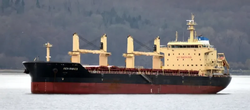 BEN RINNES Bulk Carrier IMO 9703825 photo 5