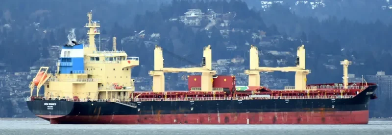 BEN RINNES Bulk Carrier IMO 9703825 photo 6