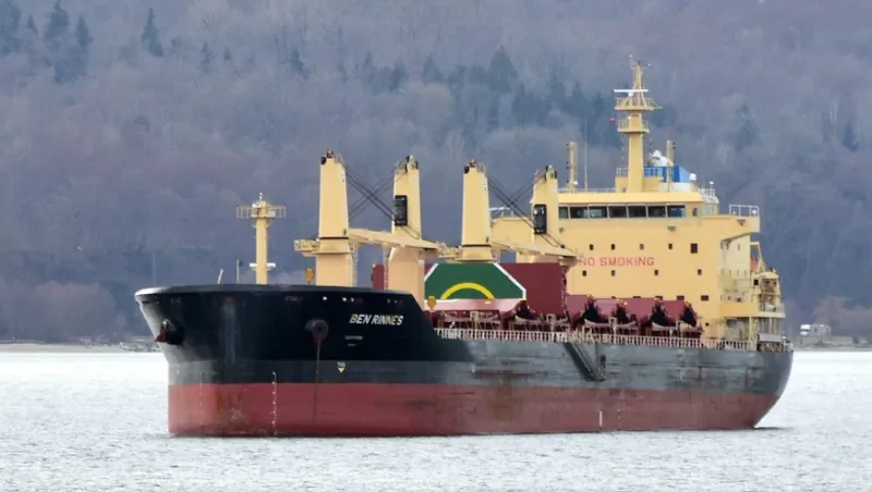 BEN RINNES Bulk Carrier IMO 9703825 photo 8