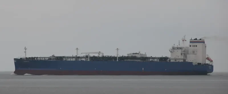 CORVETTE General Cargo IMO 9703837 photo 9